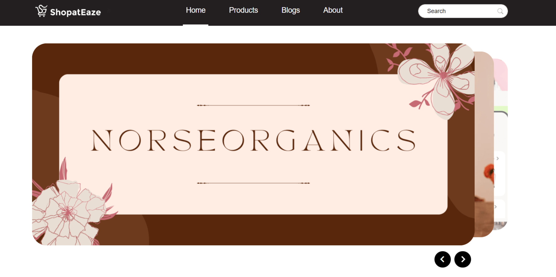 shop at eaze by odysense
